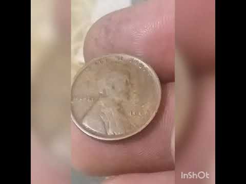 Penny box hunt. Found ancient wheat harvest.