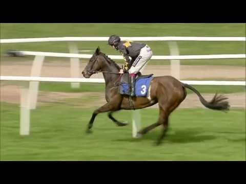 Cheltenham & South West Syndicate