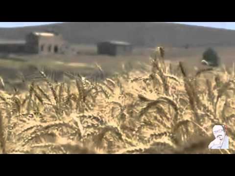 29.12.12 Castiglione Spirito del Grano - Campi di grano abbandonati