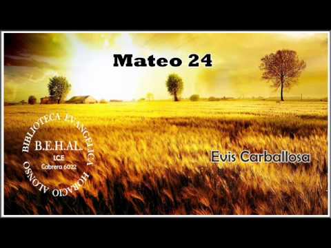 Mateo Capítulo 24 - Evis Carballosa