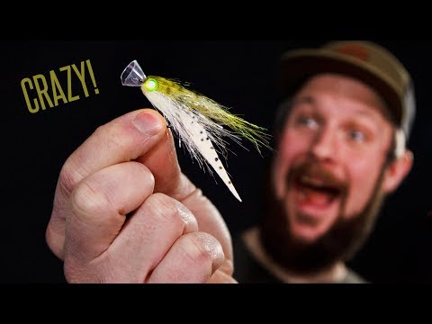 Tie TV - Crazy Baitfish (the CRAZIEST baitfish fly ever tied?!) - Daniel Bergman