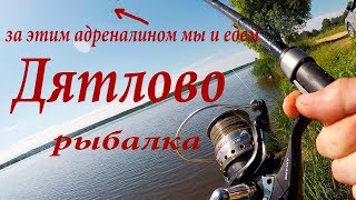 Рыбалка в клин московская область гостиницы