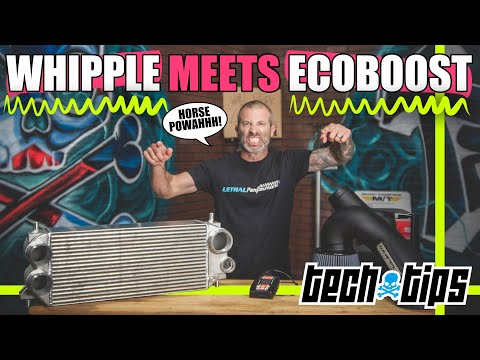 Lethal Performance Tech Tips: Whipple Stage 1 EcoBoost Upgrade Kit