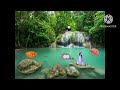 PBS Kids Sprout Jungle Now Bumper Monkey See Monkey Do 2005 2009