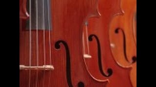 J. S. Bach - BRANDEBURSKÝ KONCERT Č. 2 F-DUR (BVV 1047)