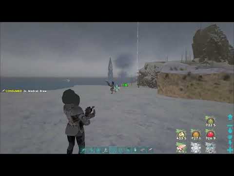 ARK UNOFFICIAL PVP-200KG RAIDERS