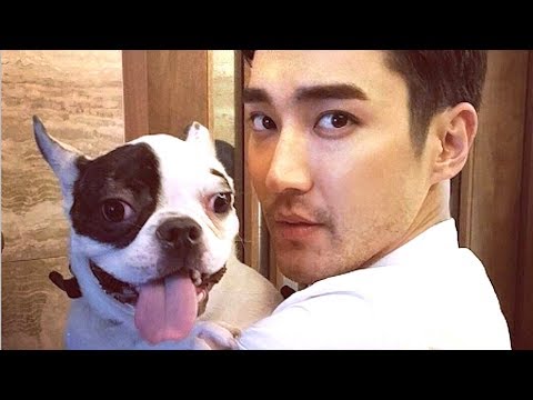 download lagu mp3 mp4 Siwon Dog, download lagu Siwon Dog gratis, unduh video klip Siwon Dog