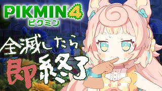 【ピクミン4 】#4 えっ今日はピクミン全員で夜の探検していいのか？！【ころねぽち】