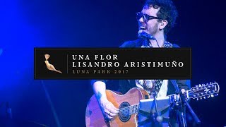 Una Flor en Vivo Luna Park - Lisandro Aristimuño