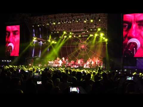 Ligabue - il muro del suono (notte della taranta) 2015