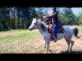 How To Slow Down Your Horse 