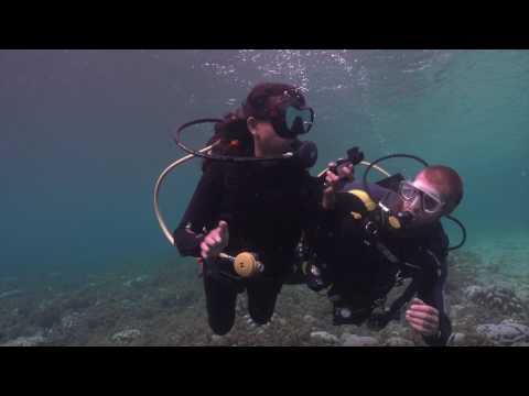 Discover Scuba Diving