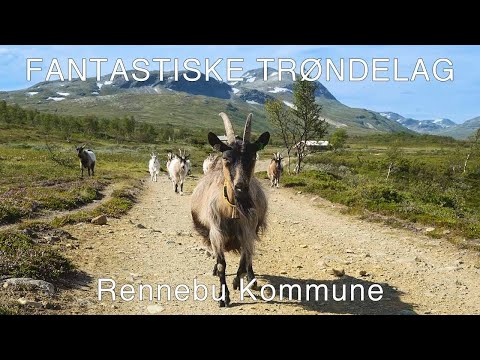 Fantastiske Trøndelag - Rennebu kommune