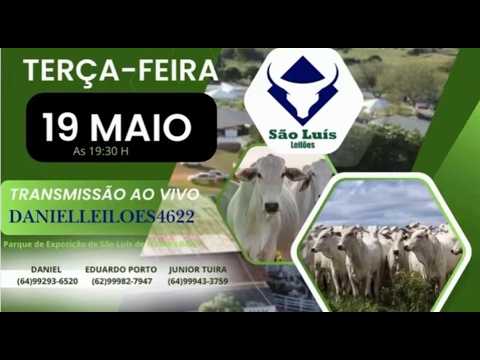 São Luis de Montes Belos - GO   19/05/2026