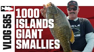 1000 Islands Giant Smallmouth with Lintner