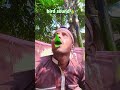 Parrot Sound Parrot Parrotsounds Birds Greenparrotsound Animals Youtubeshorts