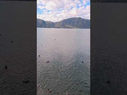ceviche para los patos de Laguna de Santa María del Oro #patos #laguna #nayarit #santamariadeloro
