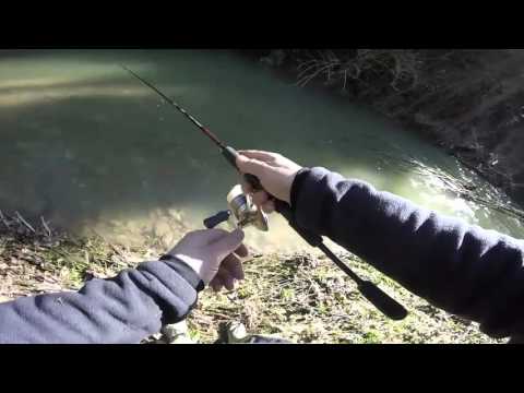 Cavedani a spinning d'inverno, brutto Fishingteam