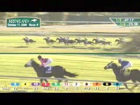 2008 Queen Elizabeth II Cup