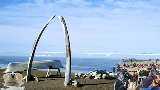 preview picture of video 'Barrow, Alaska - Beach and nature and snow'