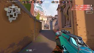 無題の動画