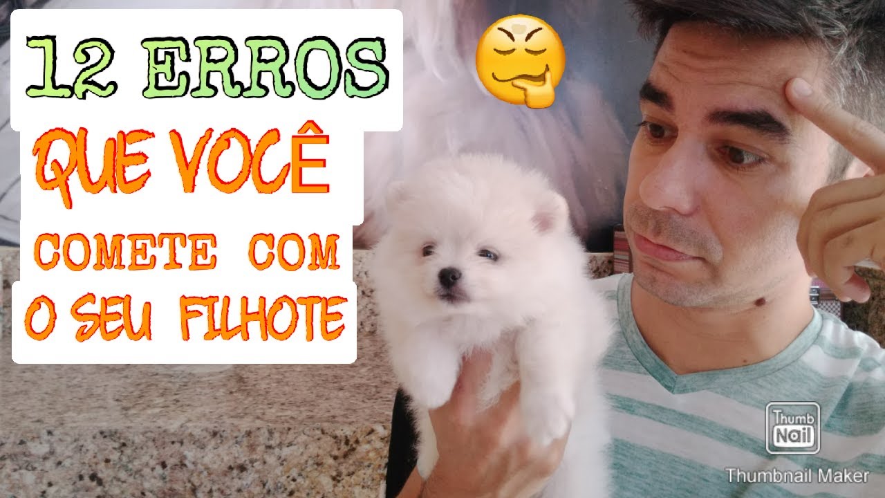 12  ERROS QUE VOCÊ COMETE COM SEU FILHOTE