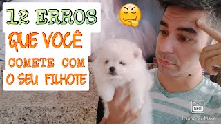 12  ERROS QUE VOCÊ COMETE COM SEU FILHOTE