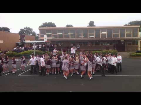 Brauer College Class of 2012 Last Day Gangnam Style Flash Mob