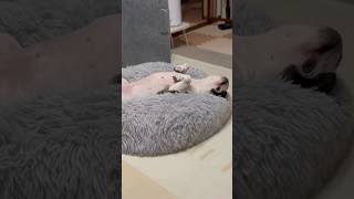 気分上場♪