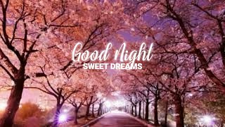 Download lagu Relaxation music brings you to sleep fast and have sweet dreams mp3 Download lagu Relaxation music brings you to sleep fast and have sweet dreams mp3