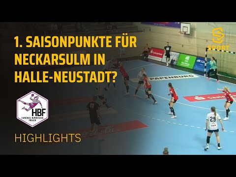 SV Union Halle-Neustadt - Sport-Union Neckarsulm | Highlights - 7. Spieltag HBF | SDTV Handball