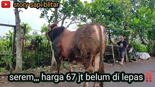 Download lagu rhadok sapi monster‼️ calon maskotnya blitar.. mp3 Download lagu rhadok sapi monster‼️ calon maskotnya blitar.. mp3