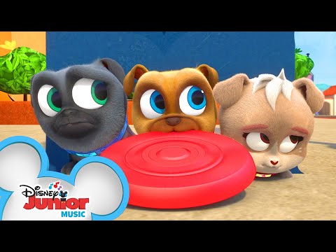 かくれんぼの歌は？| ミュージックビデオ｜パピー・ドッグ・パルズ｜ディズニー・ジュニア (Hide and Seek Song ? | Music Video | Puppy Dog Pals | Disney Junior)