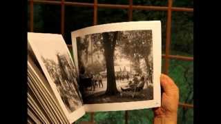 Staten Island: Notes From West Brighton by Christine Osinski (Archive)