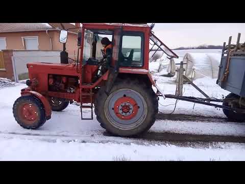 Stihl ms 181 Stihl ms 231 Mtz 80 és 8 m3 vizes fa