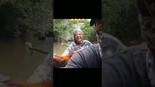 Download lagu ayam berkokok#short#funnyanimals#ayamketawa#ayamserama mp3