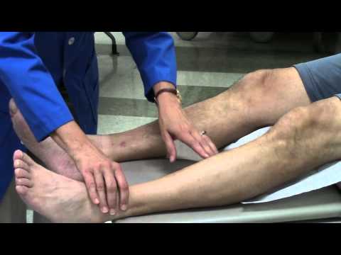 Peripheral vascular system assessment