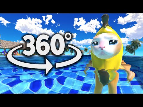 Banana Cat 360° - SWIMMING | VR/360° Experience