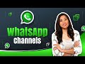 What are WhatsApp Channels & How to use them in Marketing