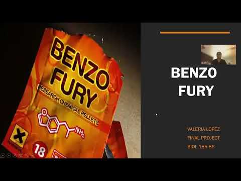 Benzo Fury - Final Project BIO 185-86