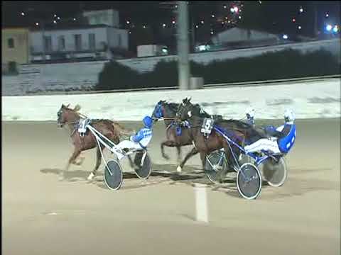 Trotto 29/12/2017 6ª corsa