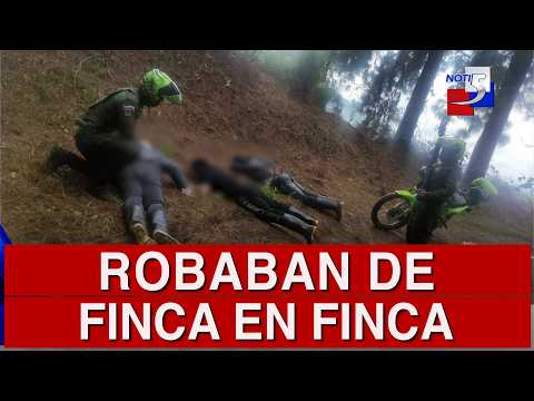 🔴 #ultimahora / Robaban de finca en finca - 10 de Junio de 2026