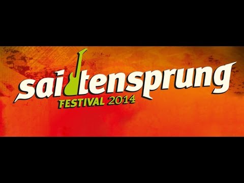 Saitensprung-Festival 2014