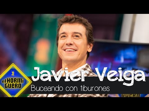 El día que Javier Veiga se jugó la vida buceando con tiburones - El Hormiguero