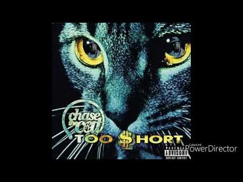 Too Short Feat. George Clinton & Baby Dc - U Stank