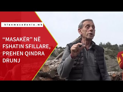 “Masakër” në fshatin Sfillare, priten qindra drunj | Klan Macedonia