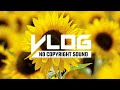 Niya A Bloom Vlog No Copyright Sound