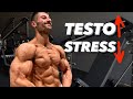 Mehr Testosteron & Muskelaufbau + weniger Stress durch 5 Wirkstoffe! (30 Studien)