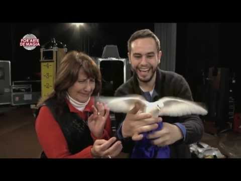 Por Arte de Magia ¬ Palomas Magicas