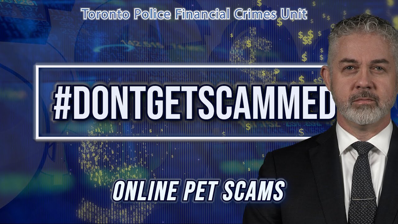 Online Pet Scam